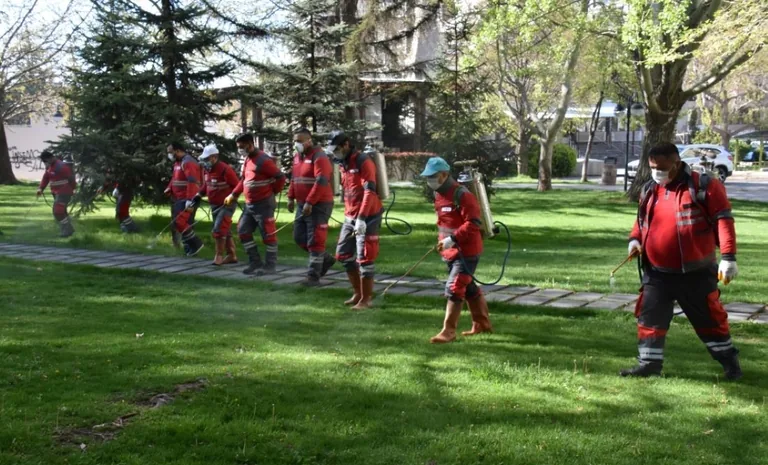 Kocasinan Belediyesi İlaçlama Çalışmalarına Hız Verdi — haber görseli
