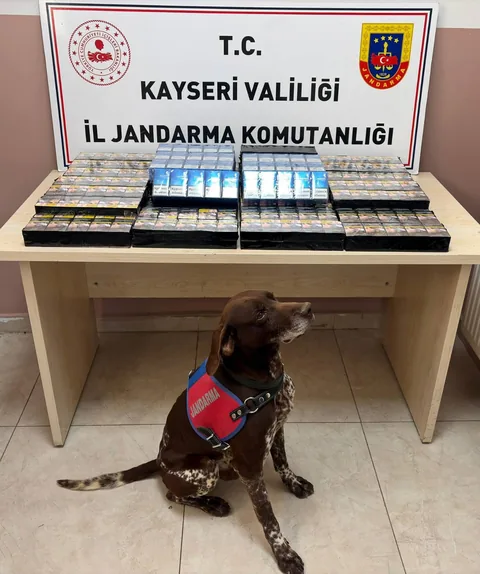 Pınarbaşı Jandarma Ekiplerinden Yol Kontrolü: Tıra Gizlenmiş Kaçak Sigara Ele Geçirildi — haber görseli