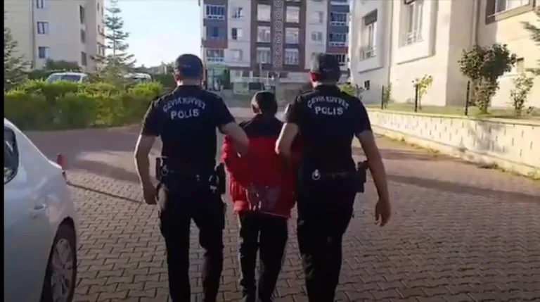 Kasten Yaralama, Hırsızlık, Tehdit! Suç Makinesi 24 Kişi Yakalandı — haber görseli