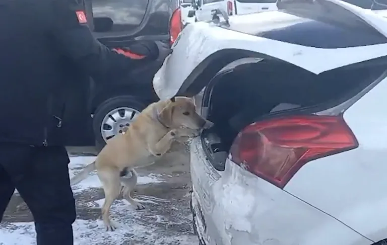 Kayseri Polisi Uyuşturucu Tacirlerine Geçit Vermedi! 20 Gözaltı — haber görseli