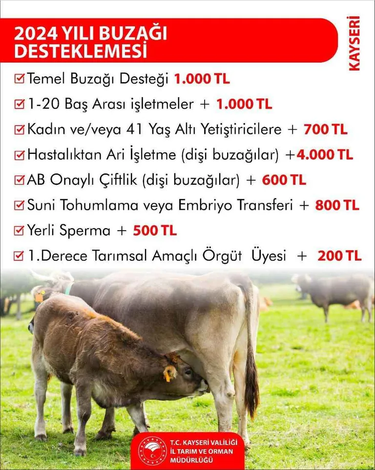 Tarım ve Orman Bakanlığı’ndan Kayseri’de hayvancılığa destek — haber görseli