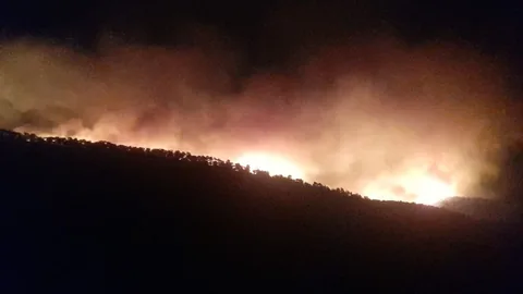AYDIN Çine'de Alevler Yerleşim Yerlerine Ulaştı: Evler Boşaltılıyor — haber görseli