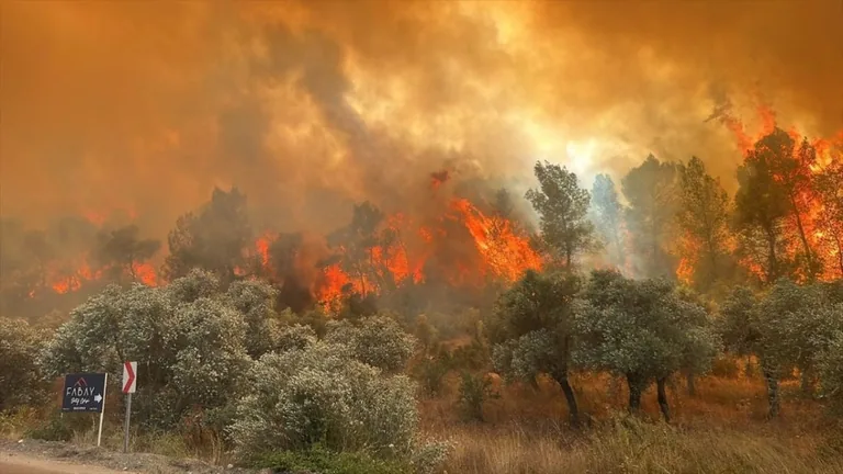 Muğla'da 7 Farklı Noktada Orman Yangını Çıktı — haber görseli