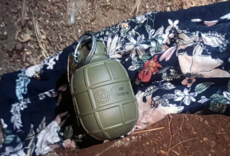 Adana’da Şok Operasyon: Köpek Kulübesinde El Bombası Bulundu — haber görseli