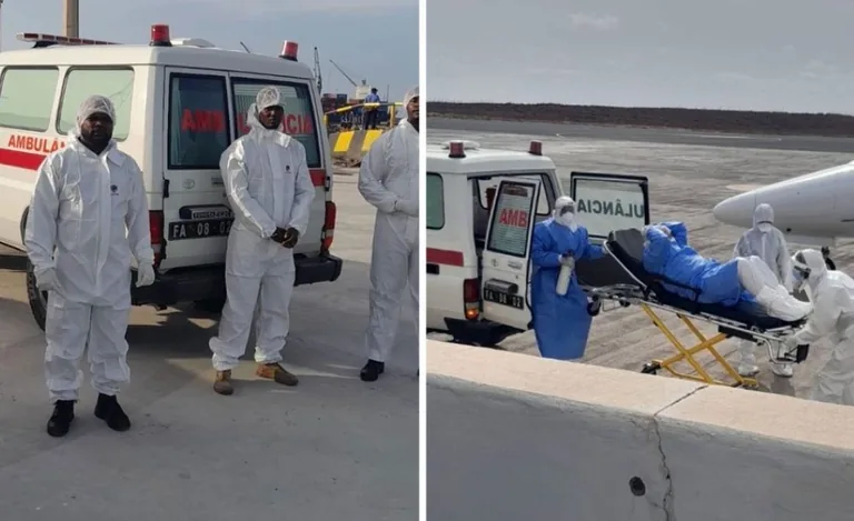 DSÖ’den Hantavirüs Alarmı! Türkiye’nin de Arasında Olduğu 12 Ülkeye Uyarı — haber görseli