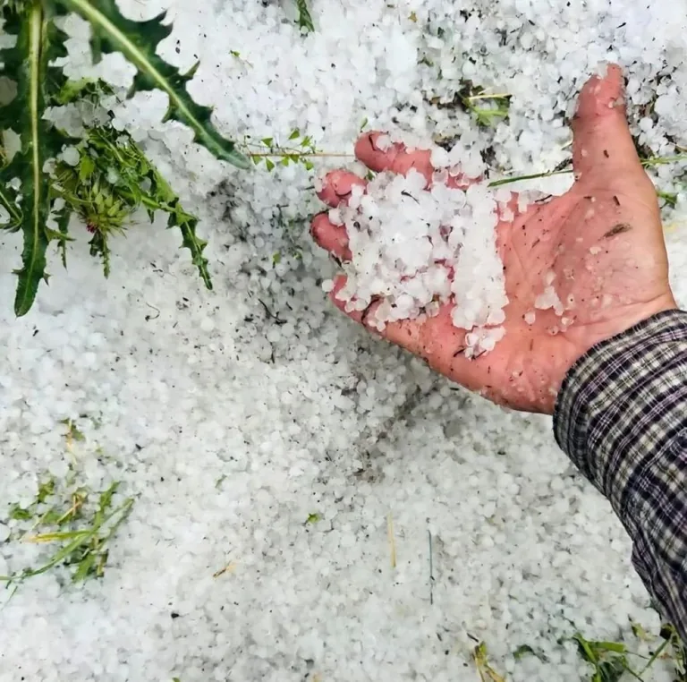 Tomarza'da Dolu Yağışı Ekili Arazileri Vurdu!  — haber görseli