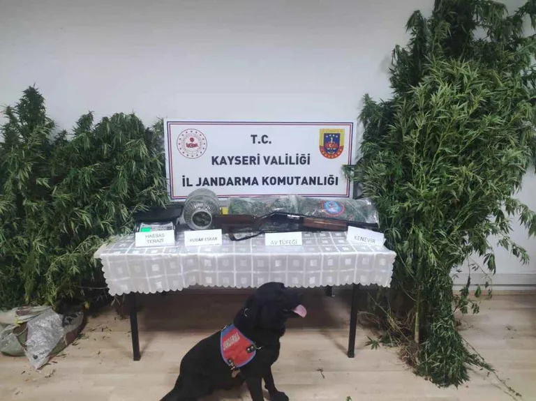 Kayseri’de Uyuşturucu Operasyonu: Esrar, Kenevir ve Silah Ele Geçirildi — haber görseli