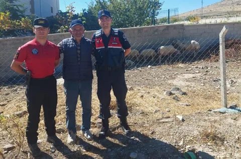 Jandarma ekipleri kaybolan koyun ve kuzuları sahibine teslim etti — haber görseli
