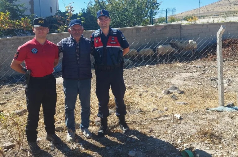 Jandarma ekipleri kaybolan koyun ve kuzuları sahibine teslim etti — haber görseli