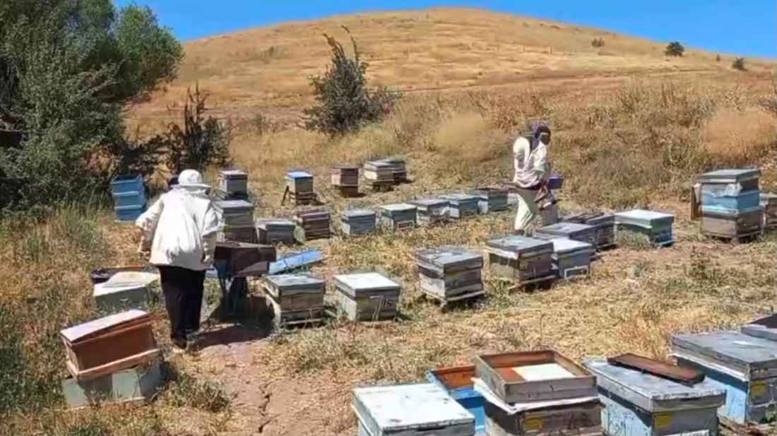 kayserinin-bunyan-ilcesinde-bal-hasat-sezonu-basladi-yaklasik-15-yildir-aricilikla-ugrasan-mustafa-arar-dogal-balin-guvenilir-ureticilerden-alinmasi-gerektigini-belirterek-gercek-bal-sifa-kaynagidir-dedi