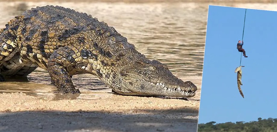 Dev timsahın midesinden 6 terlik çıktı. Kayıp kişileri o mu yedi?