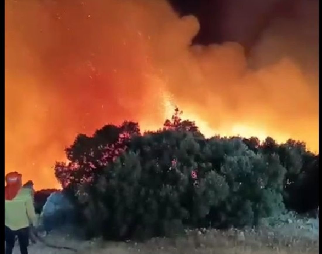 Son Dakika.. Aydın Didim'de Büyük Orman Yangını! Oteller ve Villalar Tahliye Edildi