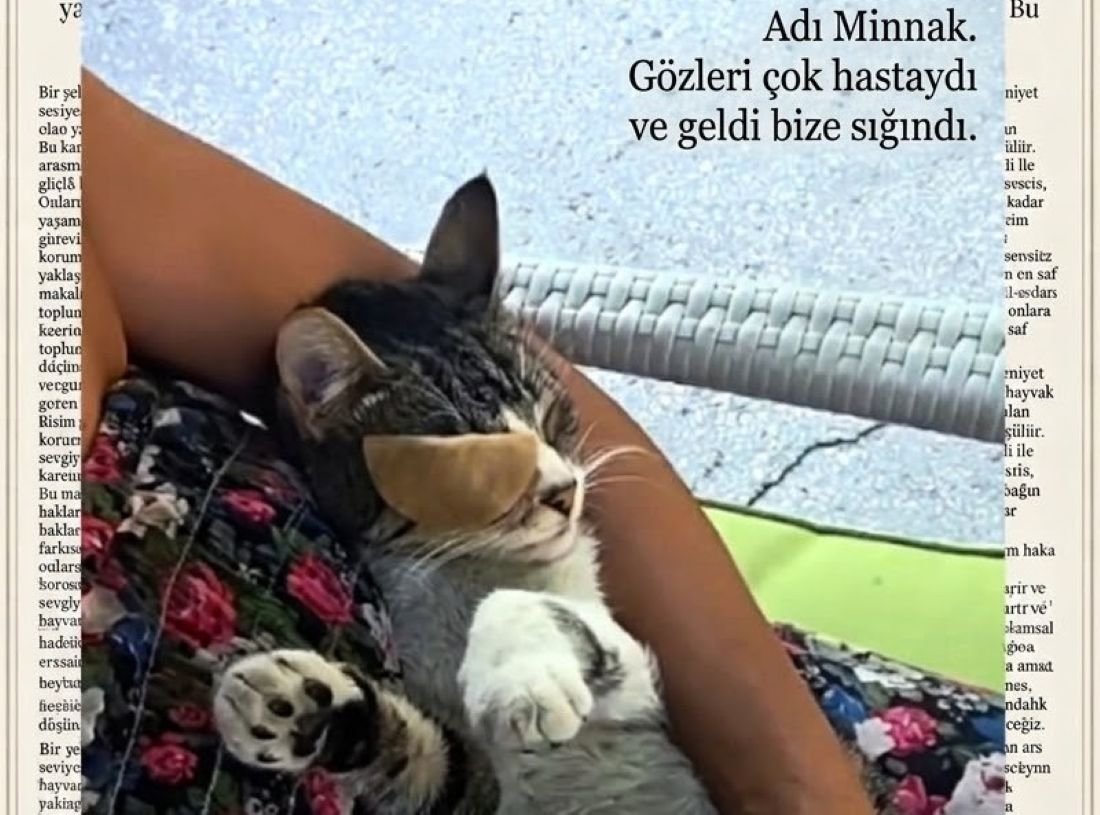Songül Arık'tan.... Emanete Hıyanet, Vicdanın İmtihanı ve Aramızdaki Gizli Tehlike