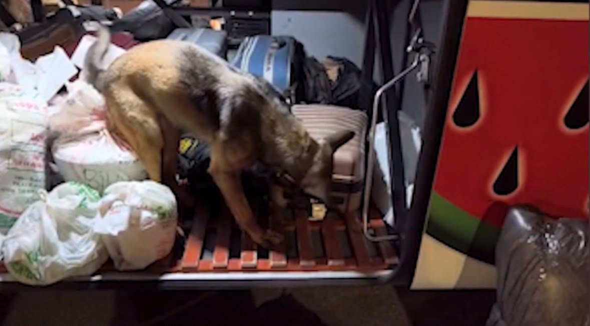 Kayseri- Malatya Yolunda Operasyon! Yolcu Otobüsünden 3 Kilo 420 Gram Uyuşturucu Çıktı