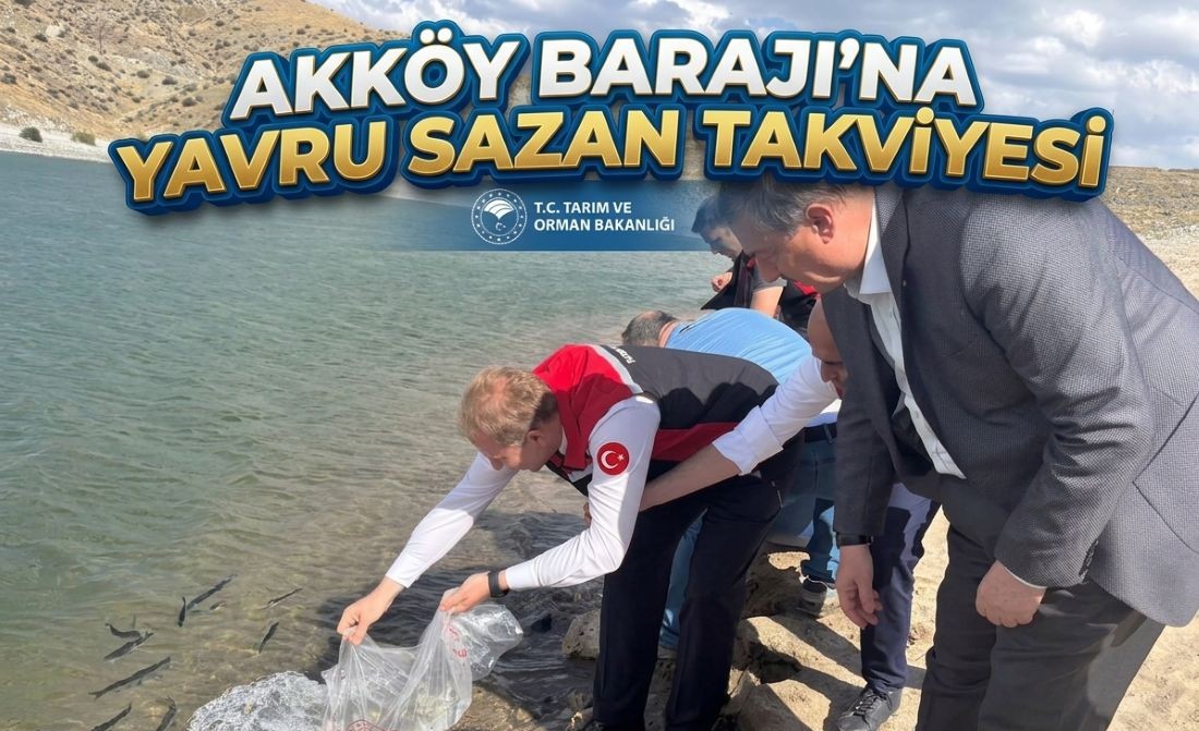 Akköy Barajı’na Yavru Sazan Takviyesi