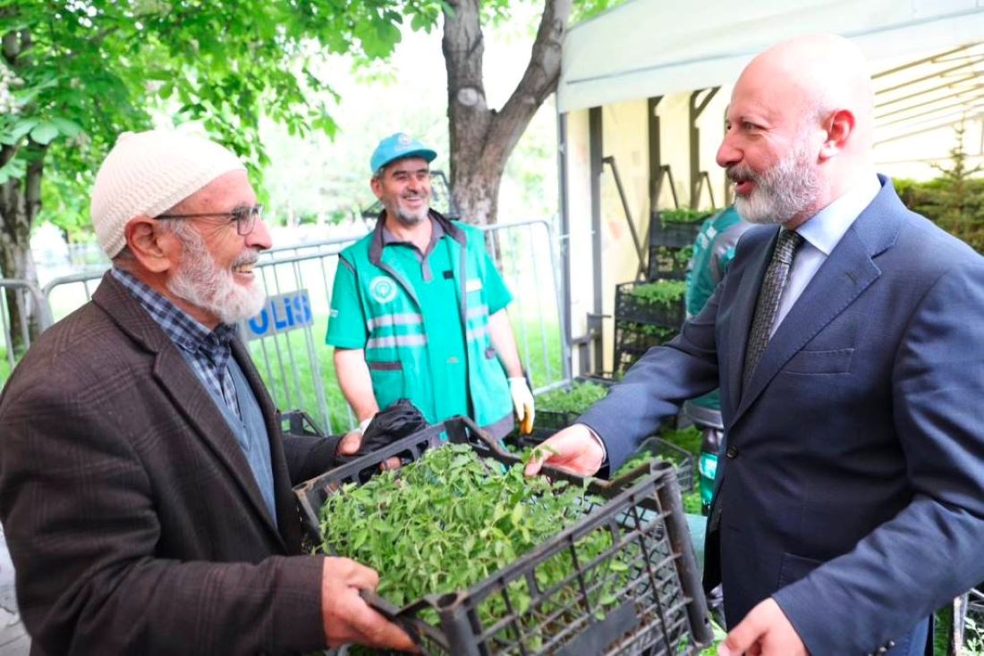 Kocasinan Belediyesi, hibrit olmayan yerli domates fidelerini ücretsiz dağıtarak hem sağlıklı üretimi teşvik ediyor hem de geleneksel tarımı yaşatıyor.